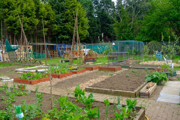 buf now - SEED & SAV£ beds