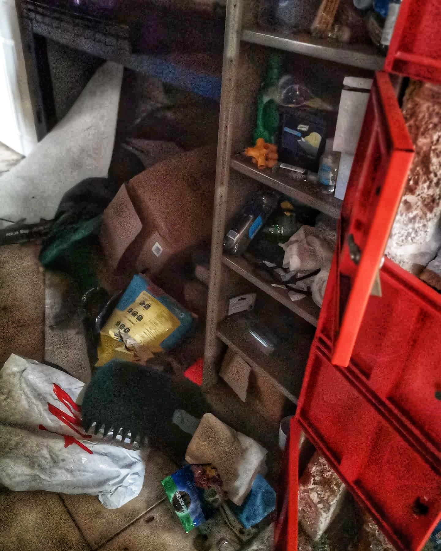 IMG_20200123_105218_244-01